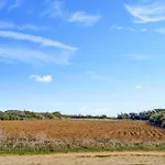 In * Meschers-sur-Gironde